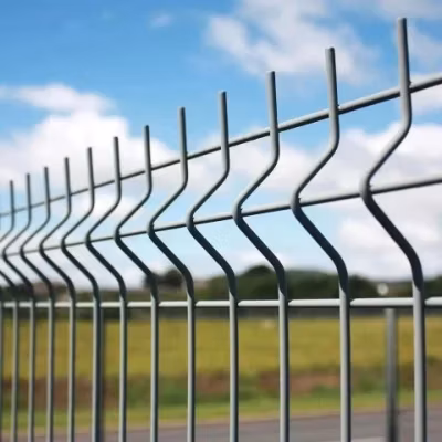 Panel de valla de malla de alambre curvo 3D recubierto de polvo de fábrica de China para cercado de jardín Panel de valla de jardín de enrejado