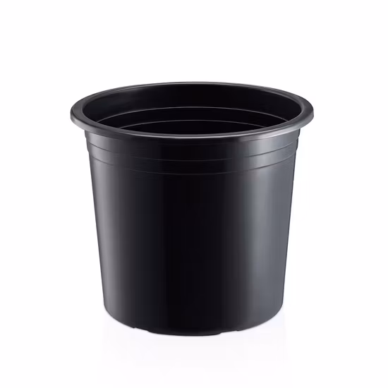 Maceta de plástico para maceta de galón negra (NO. 4-NO. 6)