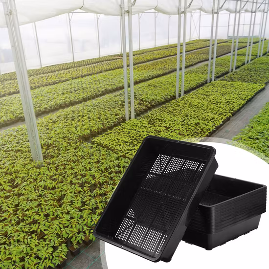 Macetas de plástico cuadradas OEM ODM con macetas de diferentes colores con protección UV