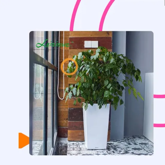 Venta directa de fábrica OEM ODM personalizada Venta al por mayor Bandeja de plástico para macetas suculentas Maceta de plástico