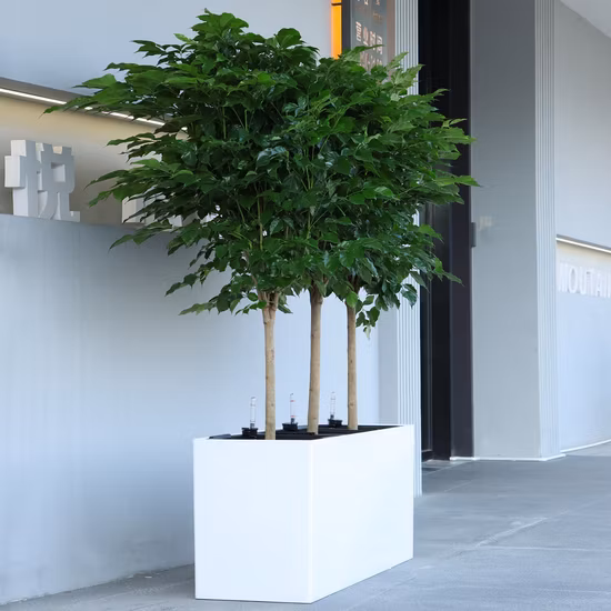 Rectángulo de jardín LED Control remoto Macetas al por mayor