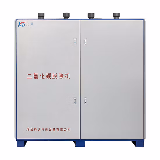 Maceta de plástico rectangular y plantación de flores y verduras