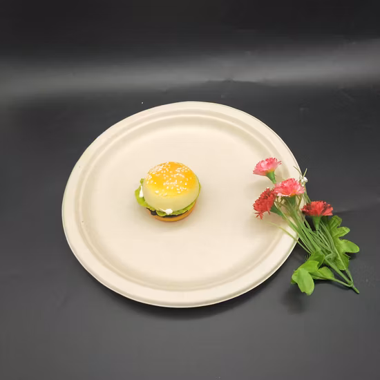 Paquete desechable de alta calidad para llevar bandeja de plato de sushi con tapa