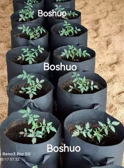 1 2 3 4 5 7 10 15 20 25 galones Plástico no tejido Geotextil Tela de fieltro Jardinera Flor Patata Invernadero Plantación Cultivo Drenaje de plantas Vivero Maceta de plántulas